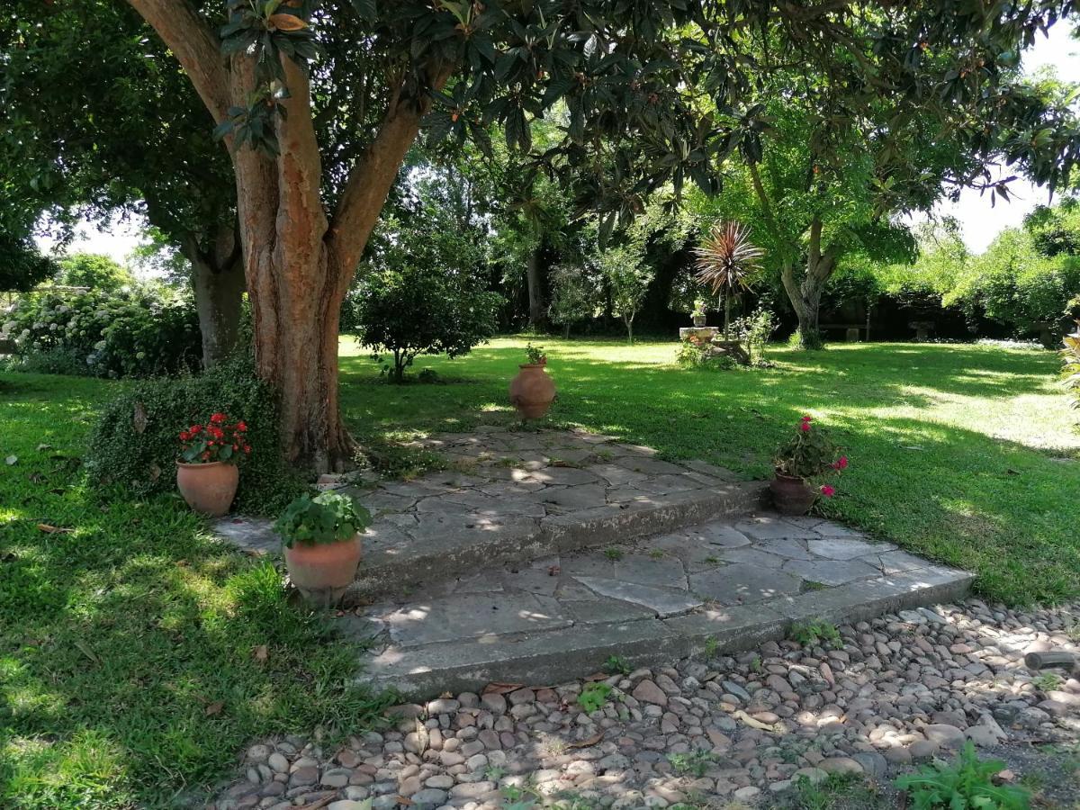 Hotel Quinta da Torre Alpiarça Extérieur photo