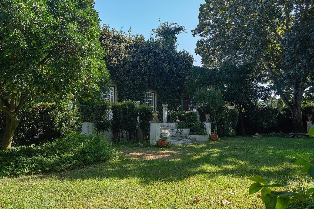 Hotel Quinta da Torre Alpiarça Extérieur photo
